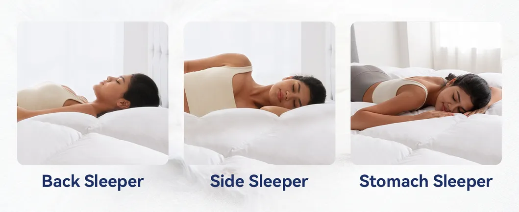 Dimensions and Features