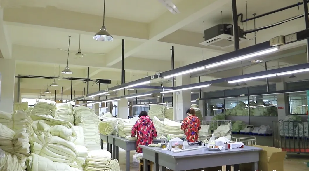 Premium Soft Cotton Duvet Cover Set