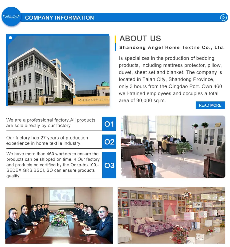 All Season Suitable Ruffle Decor Coverlet Bedding Set