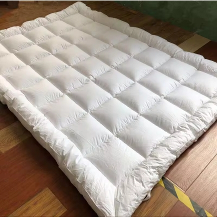 Woven 40 Plant Plain Sleep Memory Foam Mattress 200tc Down Quilt Thick Mattress Topper