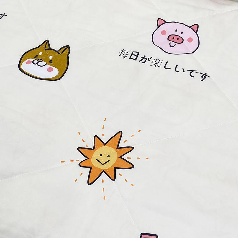 Luxury Quilted Blanket Microfibre Wool King Coverlets Queen Summer Fashion Modern Set Quilt Cheap for Home Bedding