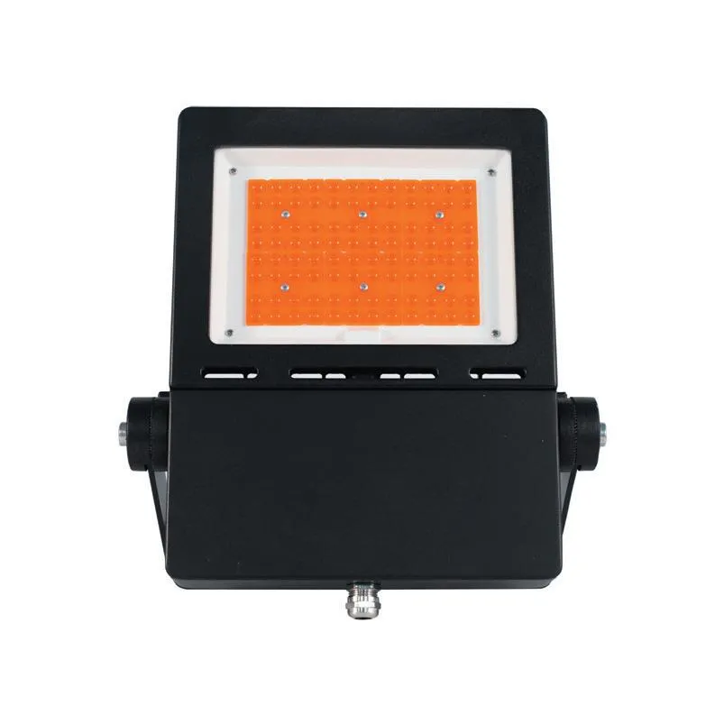 Flood Light