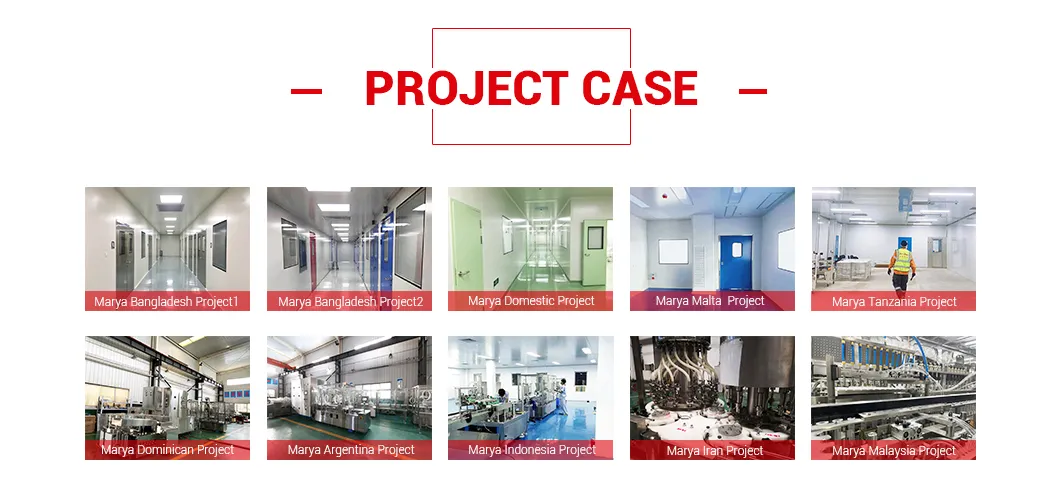 Global Project Case