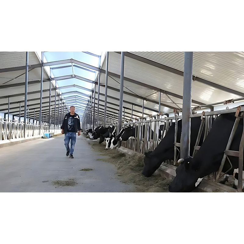 Modern Design Large Span Livestock Farm House Metal Frame Prefabricated Light Steel Frame Steel Structure Construction Pig Sheep Goat Cattle Cow Shed Building