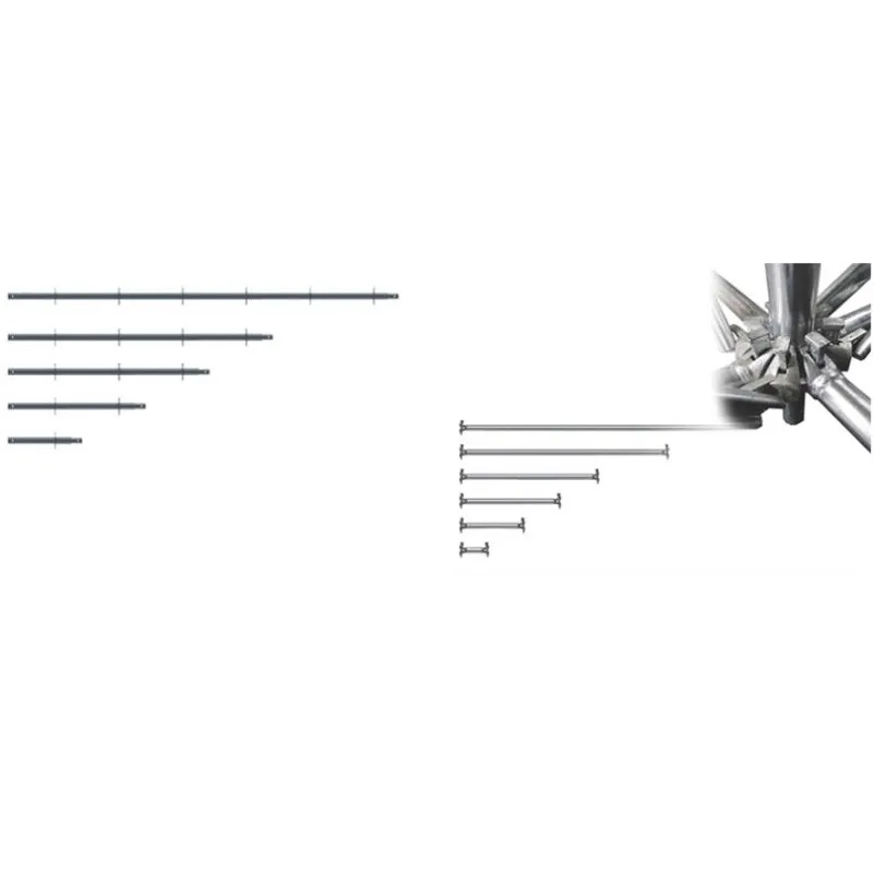 Scaffolding Standard