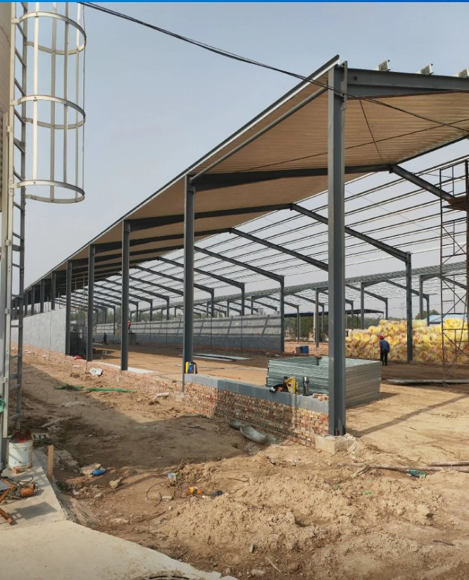 New Professional and High-Quality Steel Structure Farms for Agricultural Production