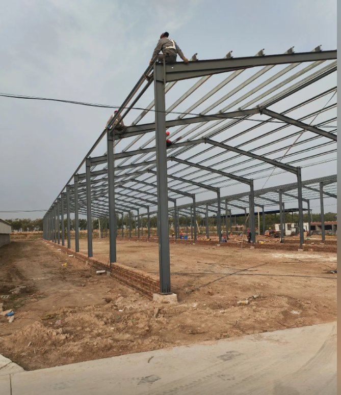 New Professional and High-Quality Steel Structure Farms for Agricultural Production