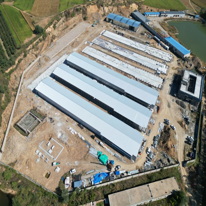 Modular Poultry Housing System with Lightweight Steel Frame and Thermal Insulation Panels