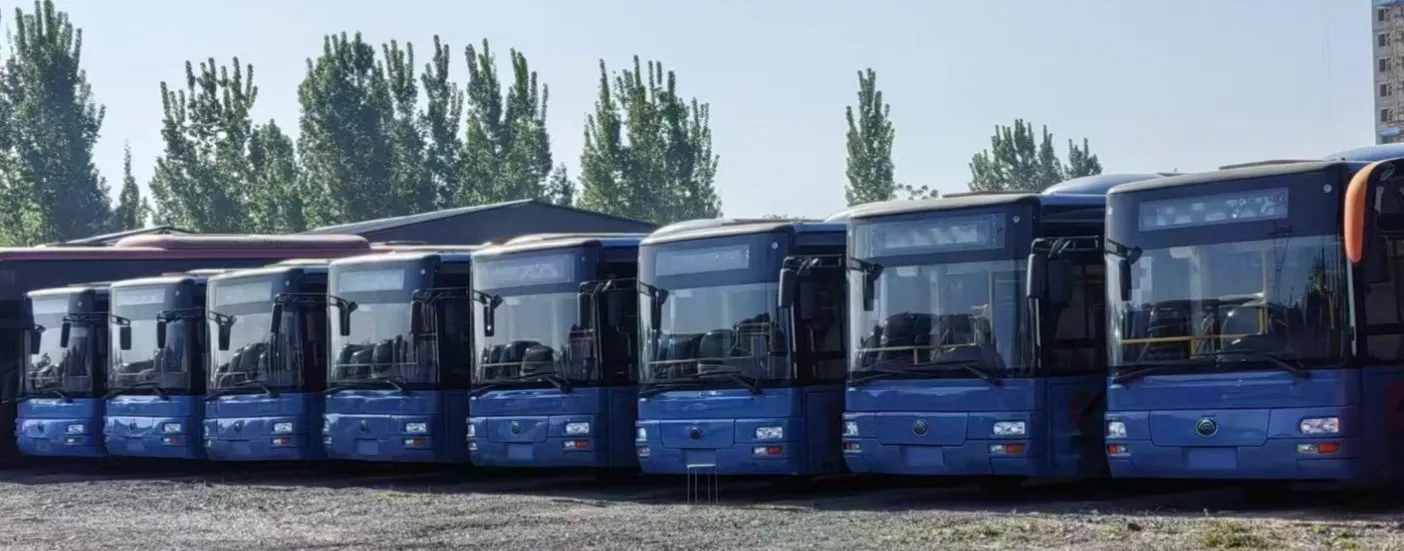 Diesel Buses