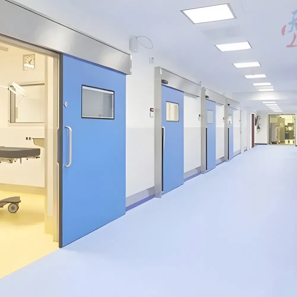Premium Cleanroom Solutions for Food and Pharmaceutical Industries