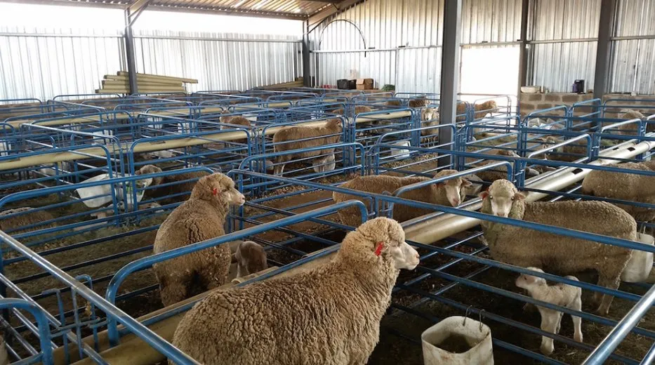 Livestock Farm House Design