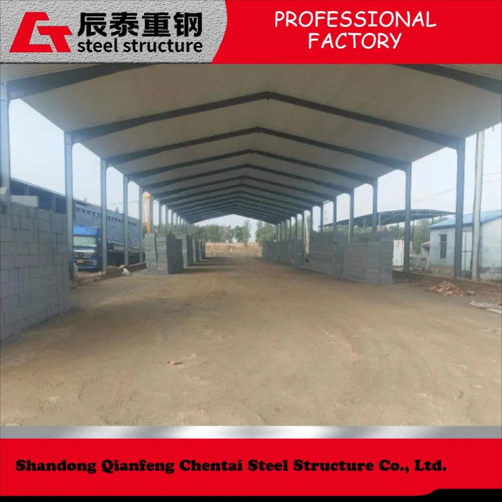 New Professional and High-Quality Steel Structure Farms for Agricultural Production