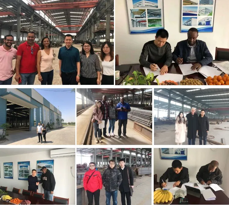 Company Experience Showcase