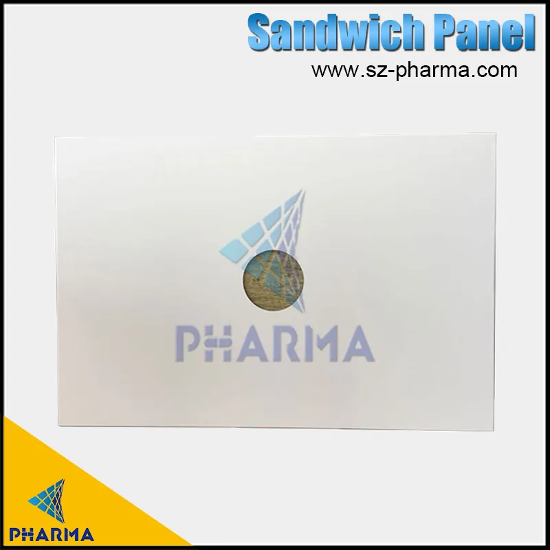 Cleanroom Panel View 2