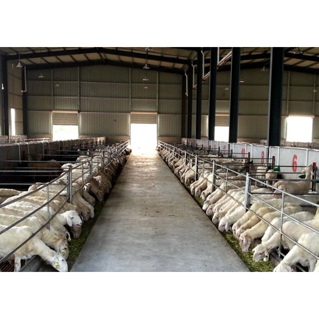 Modern Design Large Span Livestock Farm House Metal Frame Prefabricated Light Steel Frame Steel Structure Construction Pig Sheep Goat Cattle Cow Shed Building