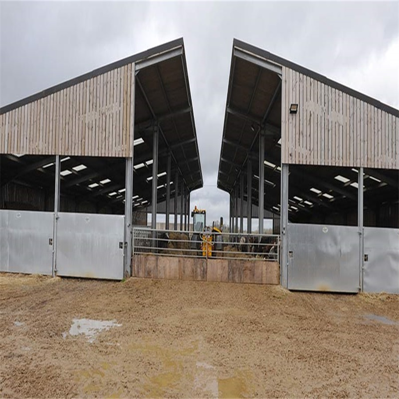 Modern Design Large Span Livestock Farm House Prefabricated Light Steel Structure Frame Metal Prefab Barn Pig Sheep Goat Cattle Cow Dairy Shed Building