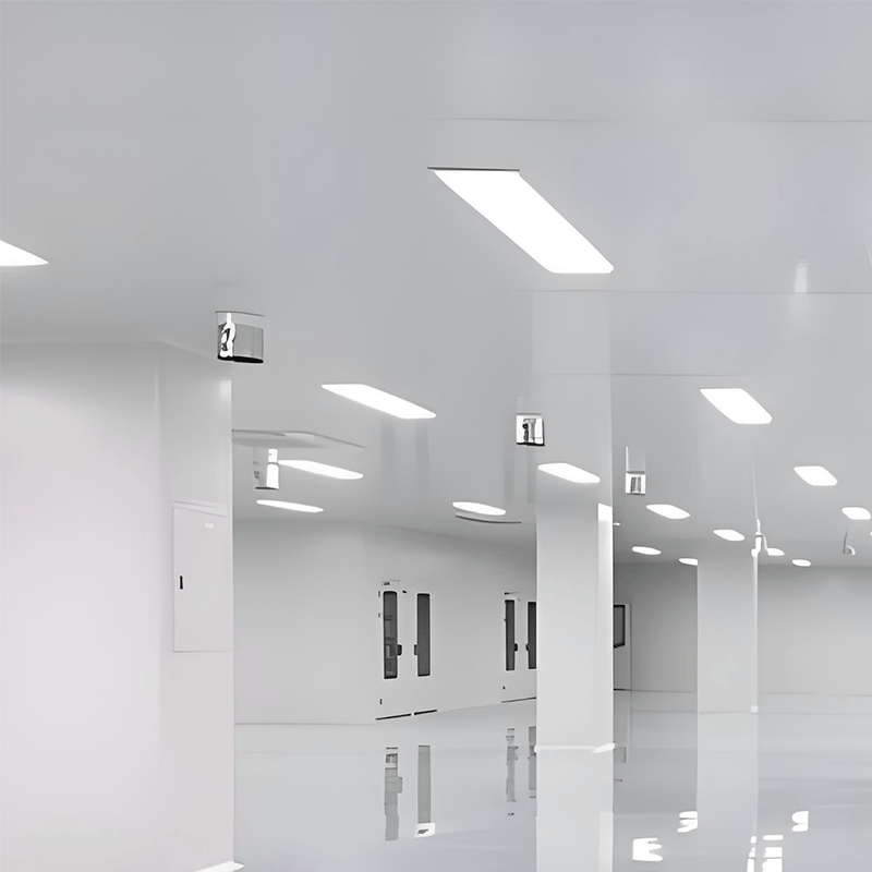 Modular Cleanroom Door Equipment System - Non-Standard From Suzhou