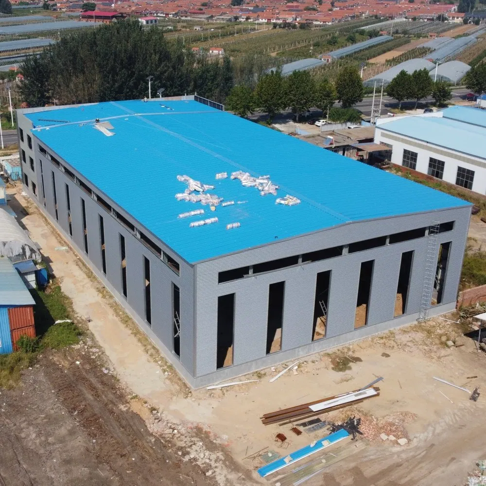 Metal Frame Sandwich Panel Modern Design Prefabricated Steel Structure Warehouse