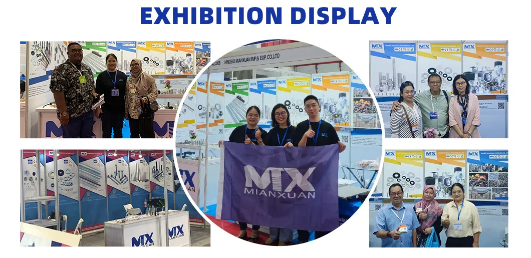 Exibição de exposições