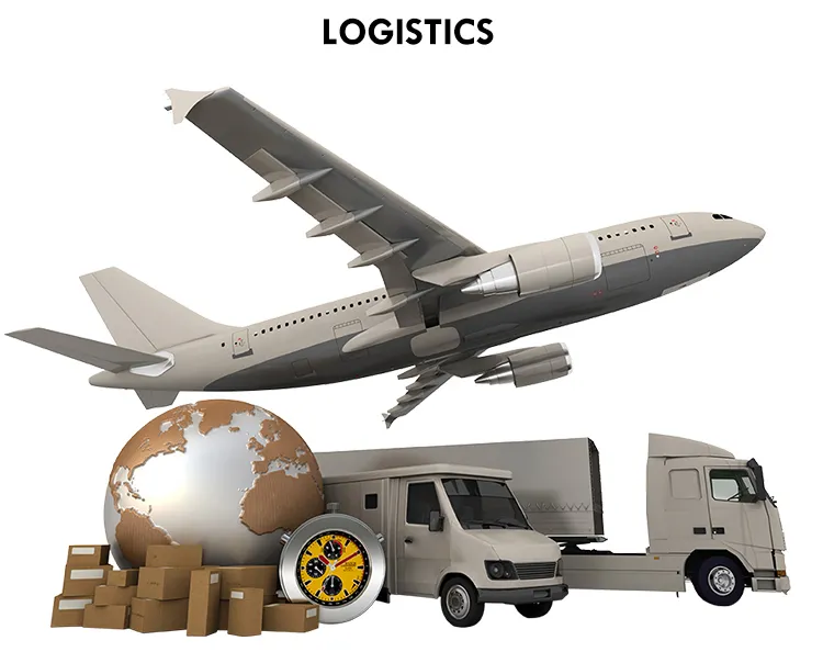 Logística de entrega expressa internacional