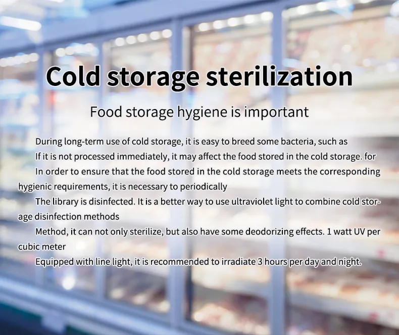 UV Germicidal Lamp Detail 4