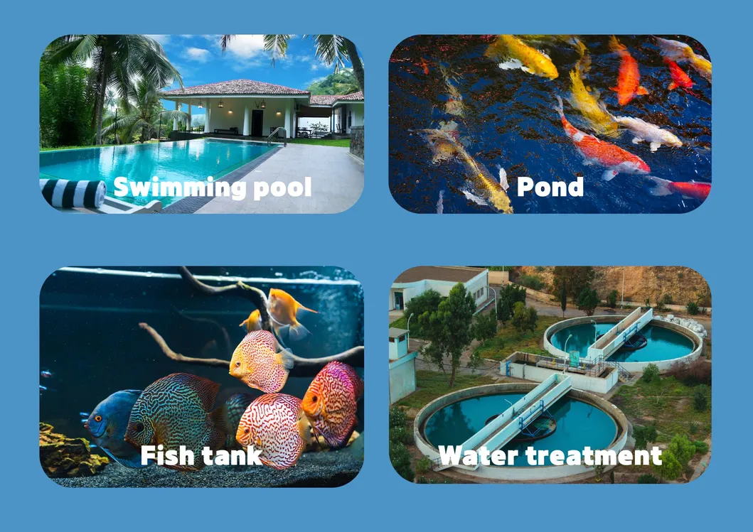 UV Lamp Application Scope