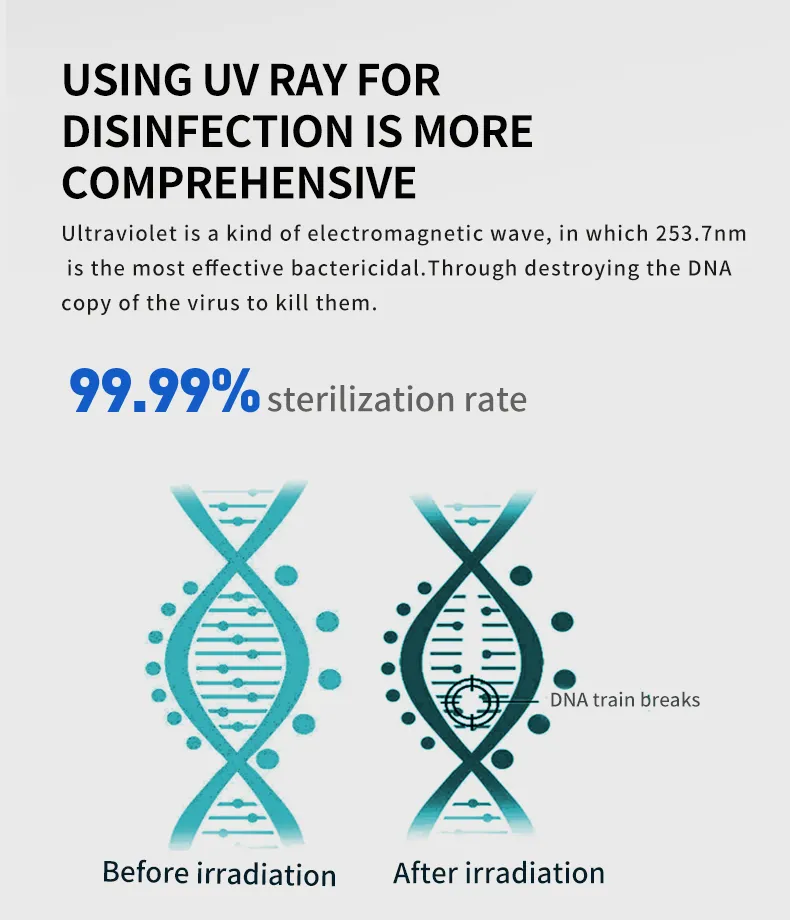 UV Purification System