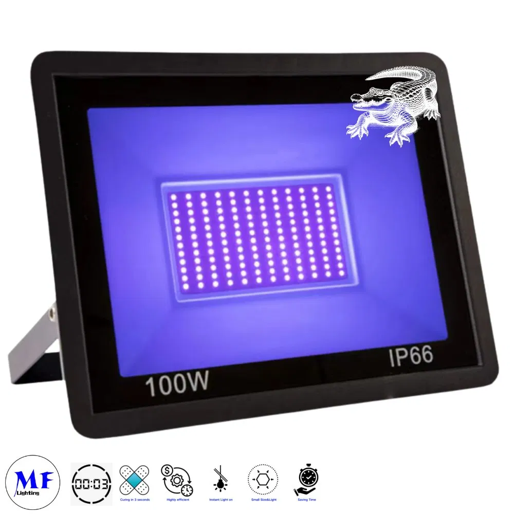 Customizable 3-Second Cure Flood Light IP66 Waterproof 50W/100W/150W 395nm LED Industrial UV Curing Lamp for Printing Medical