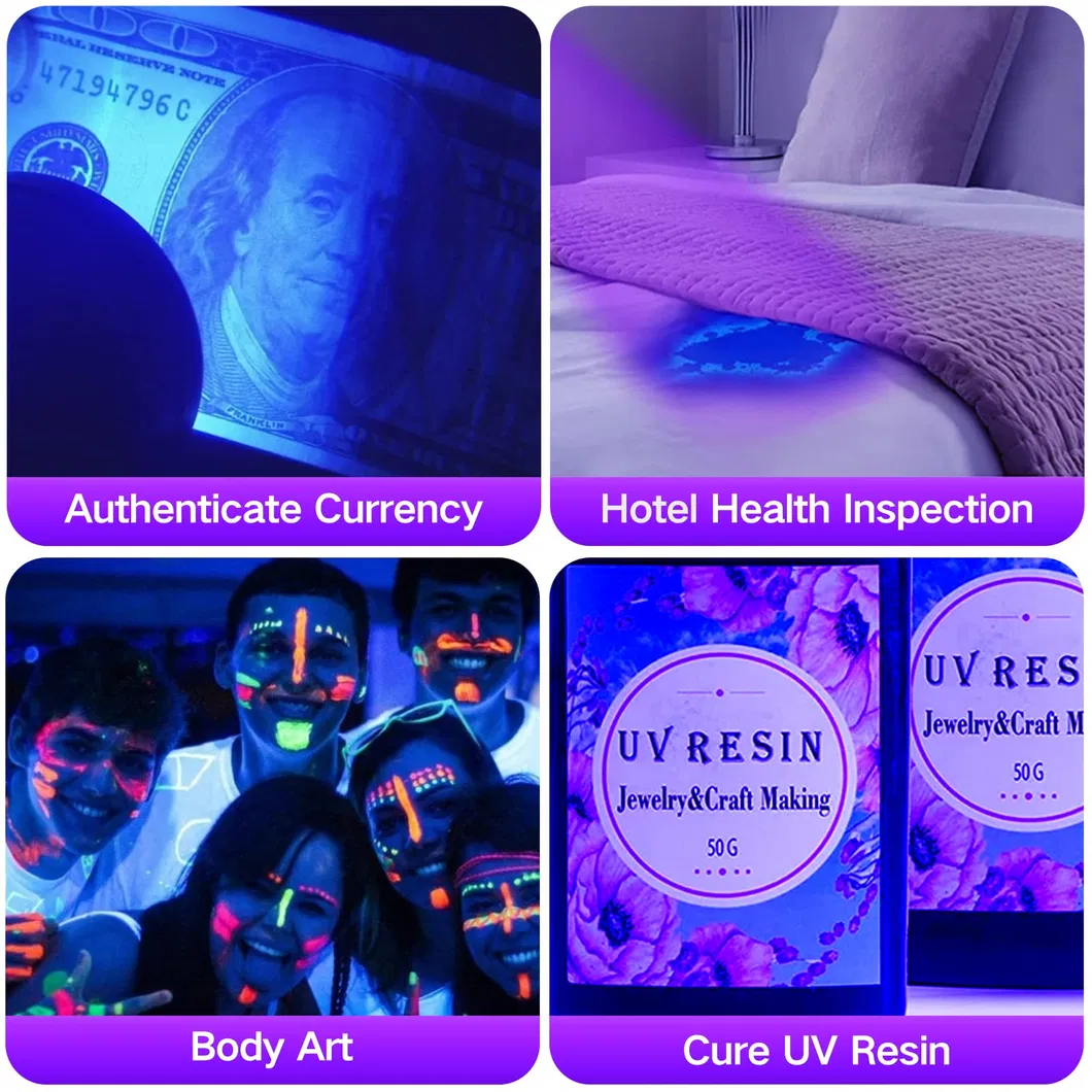 UV Flashlight View 5