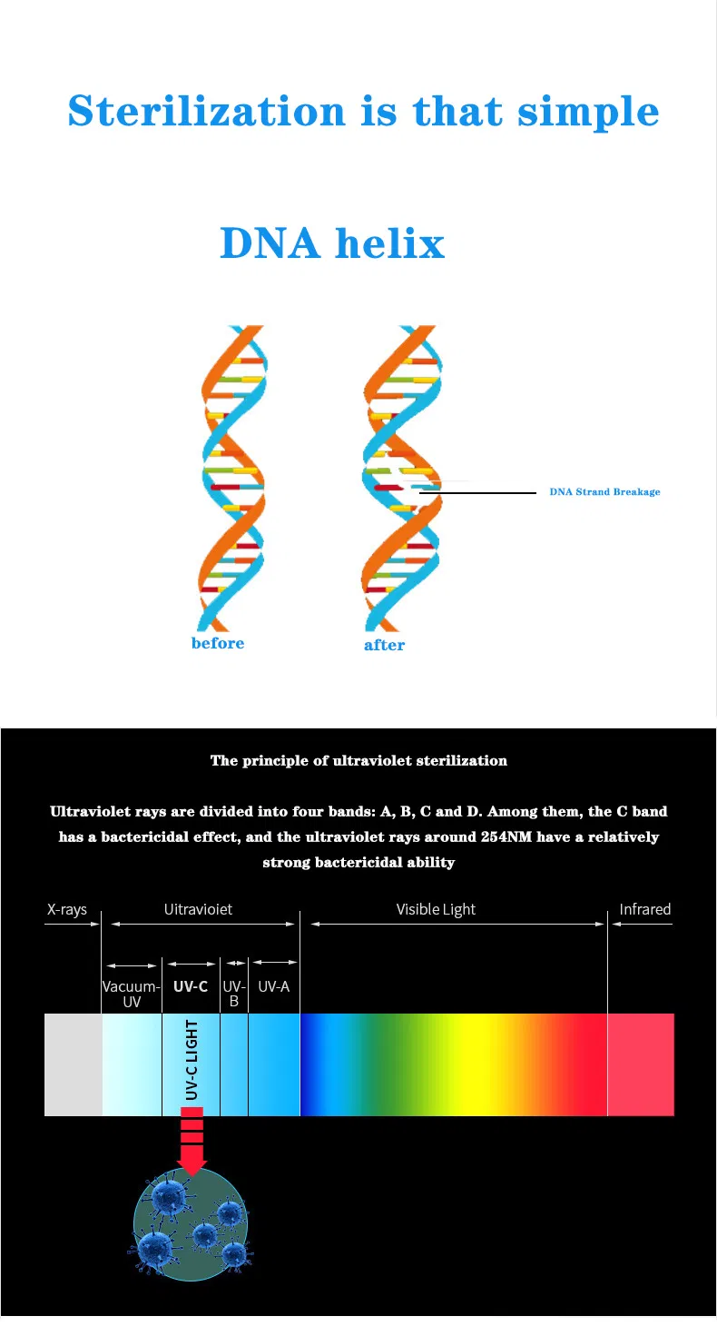 Portable UV Sterilizer 3