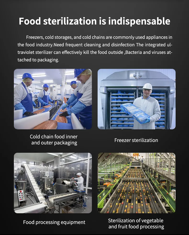 UV Disinfection System