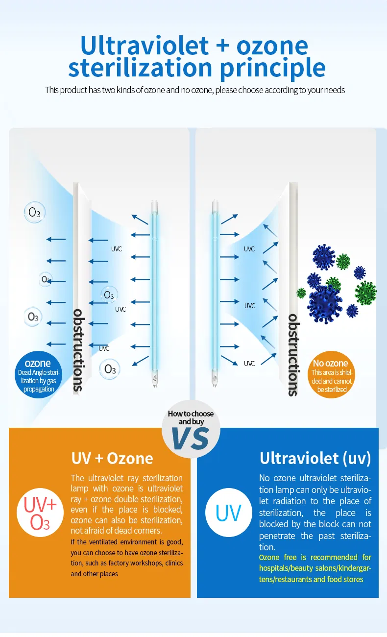 UV Disinfection Lamp Setup