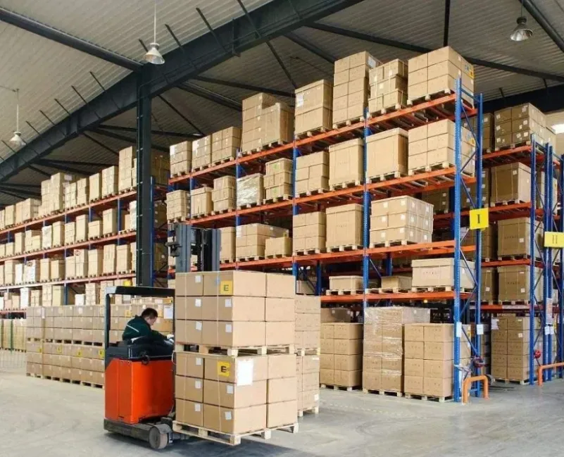 Veterinary Skin Examination