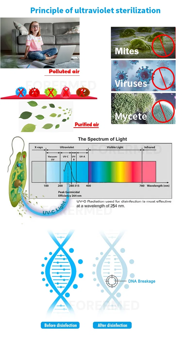 UV Sterilization Principle