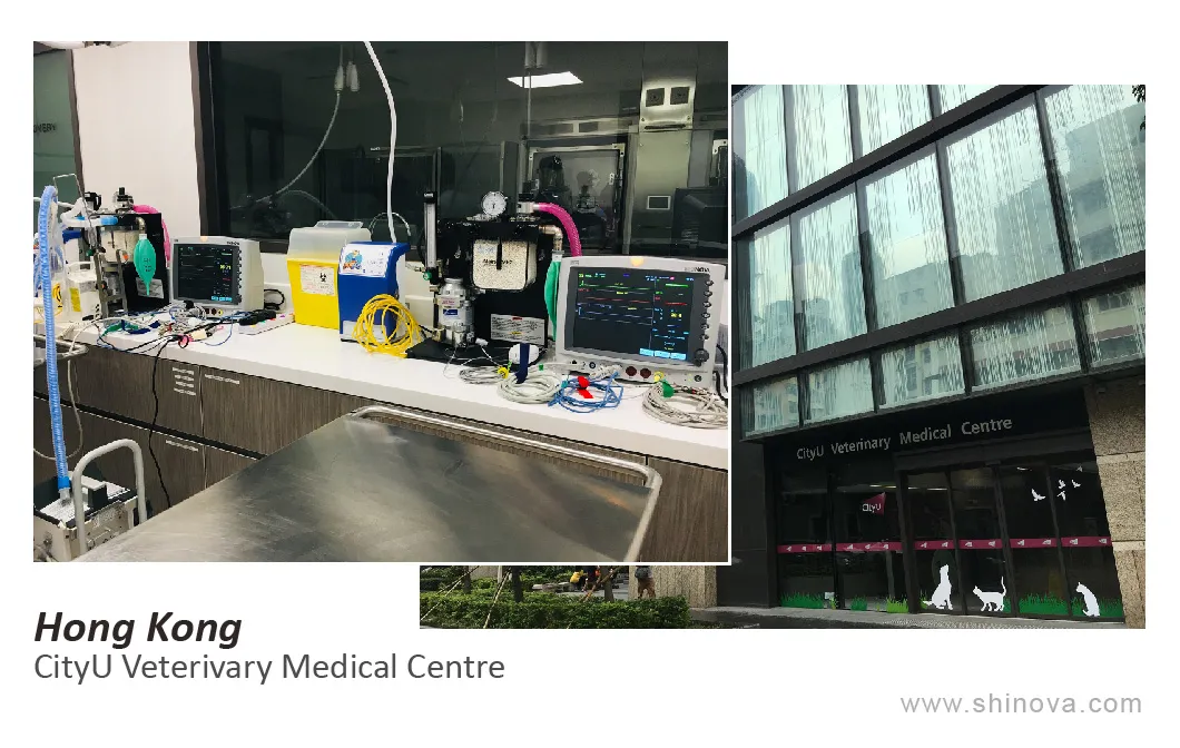 UV Disinfection Lamp View 10