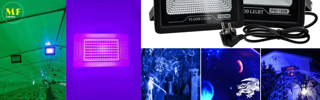 UV Curing Lamp Banner