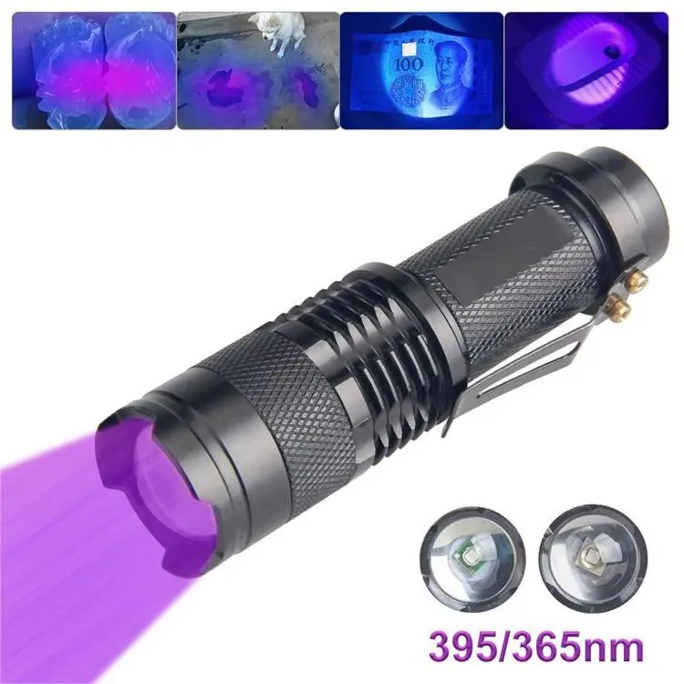 UV Flashlight