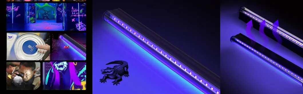 UV Curing Lamp Overview