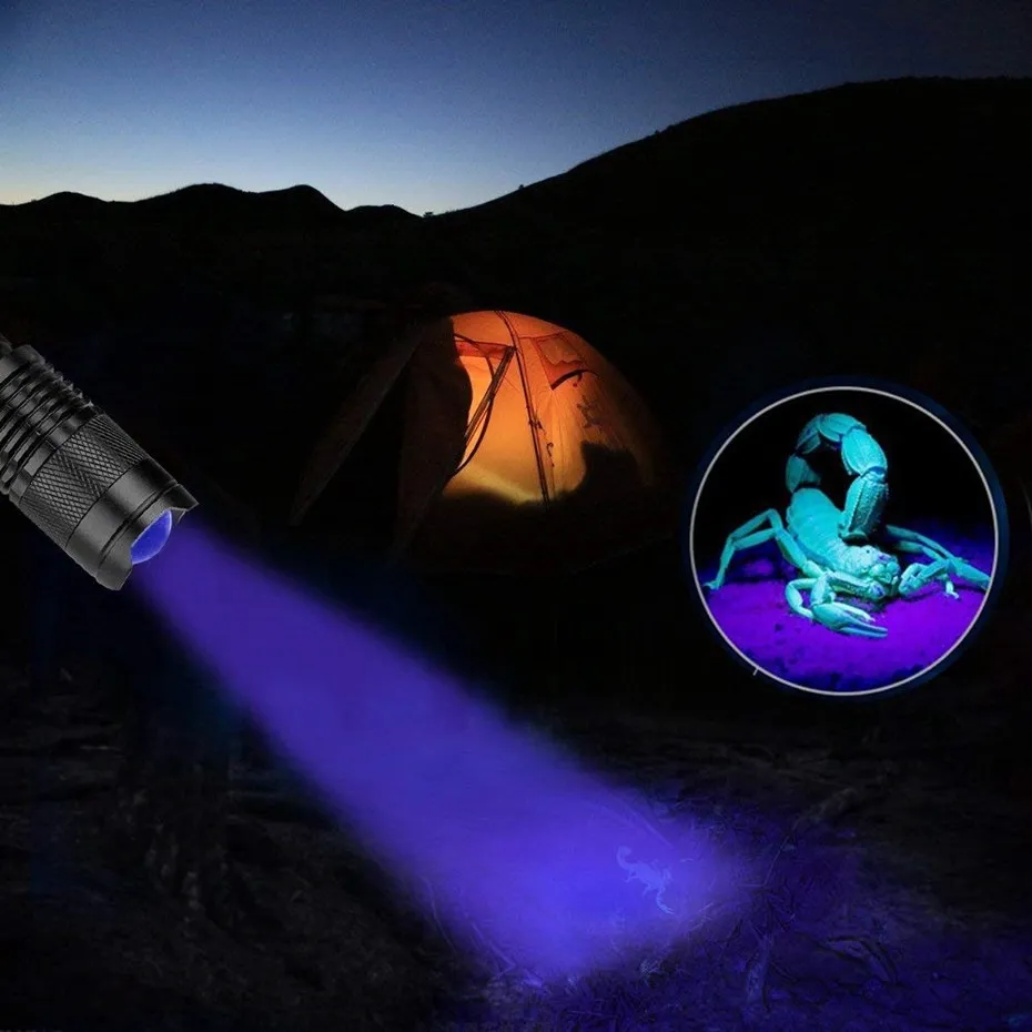 UV Flashlight View 11