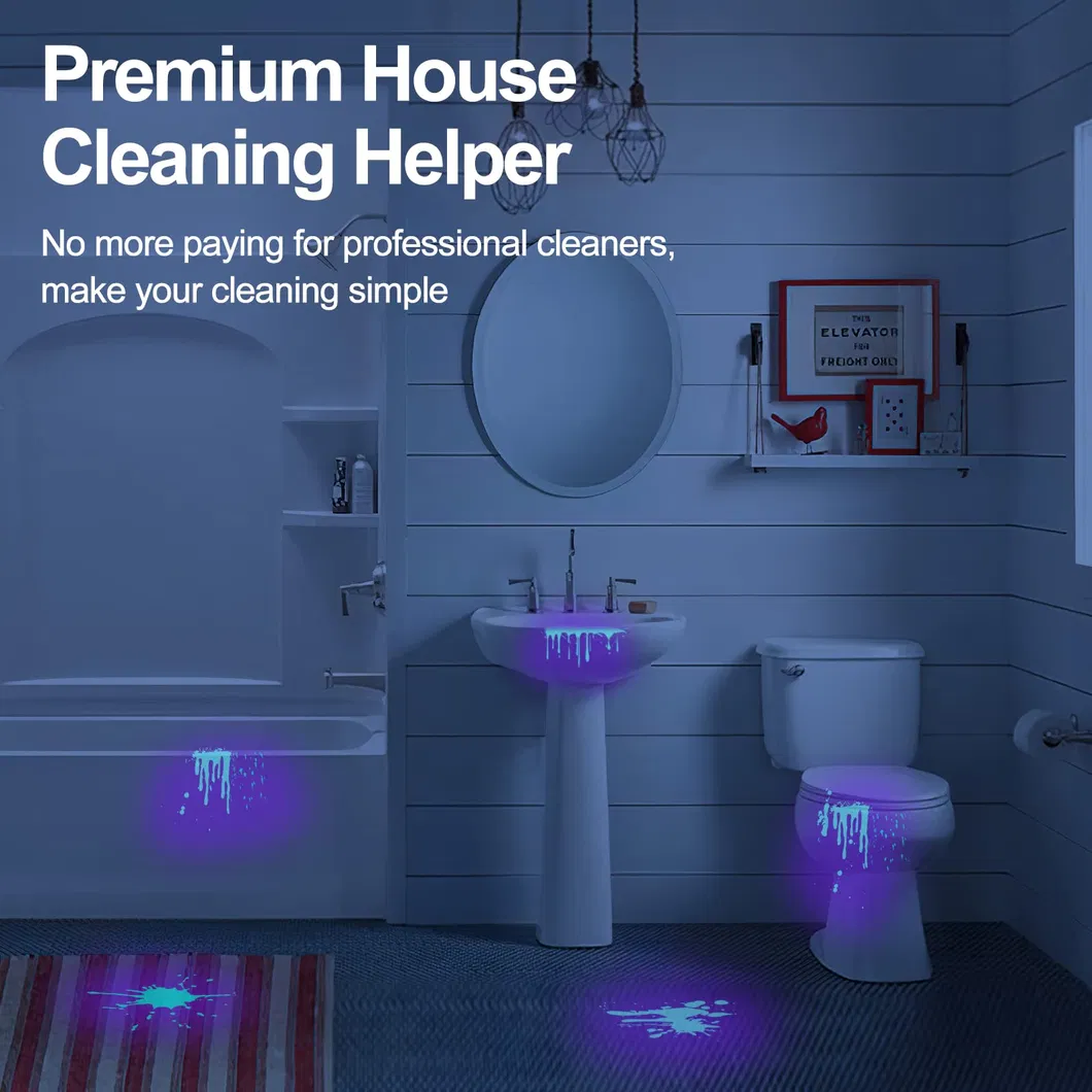 UV Flashlight View 4