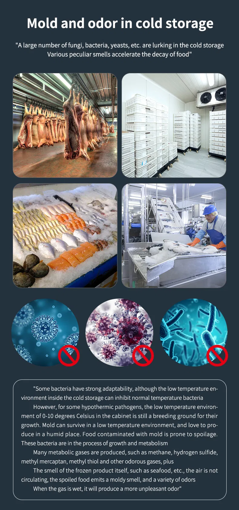 Cold Storage Disinfection