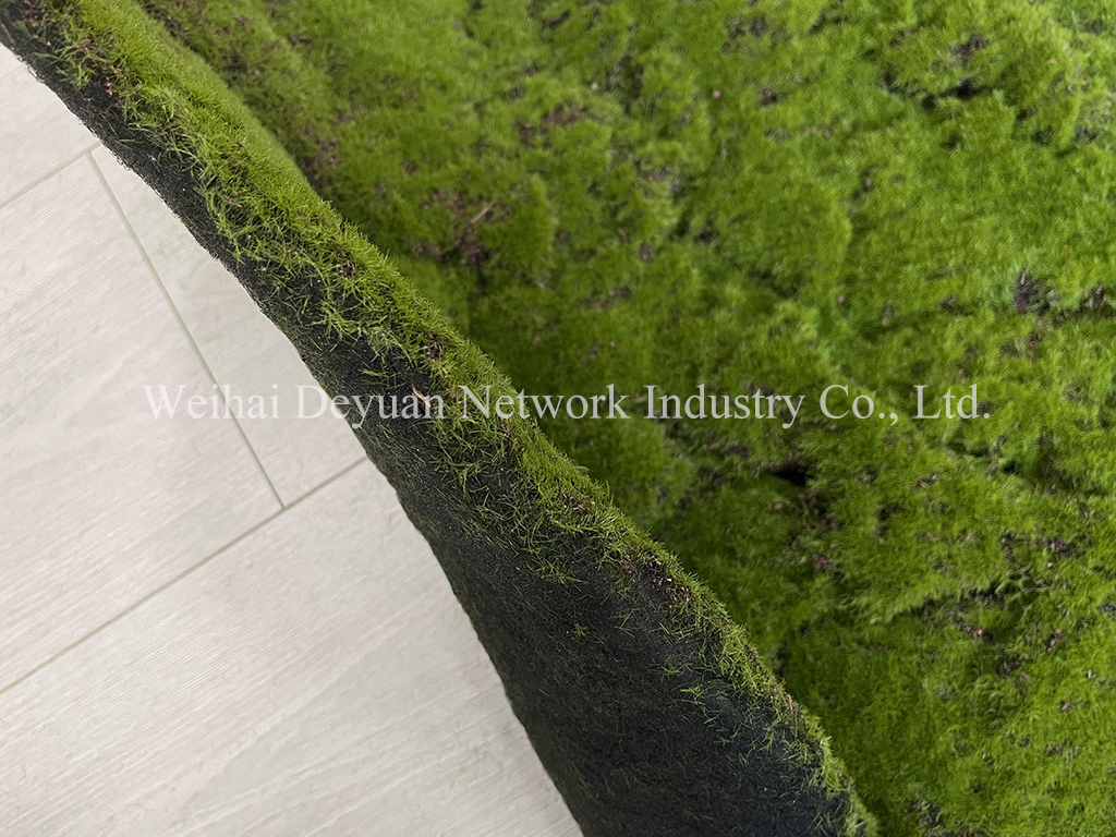 Moss Wall Display 3