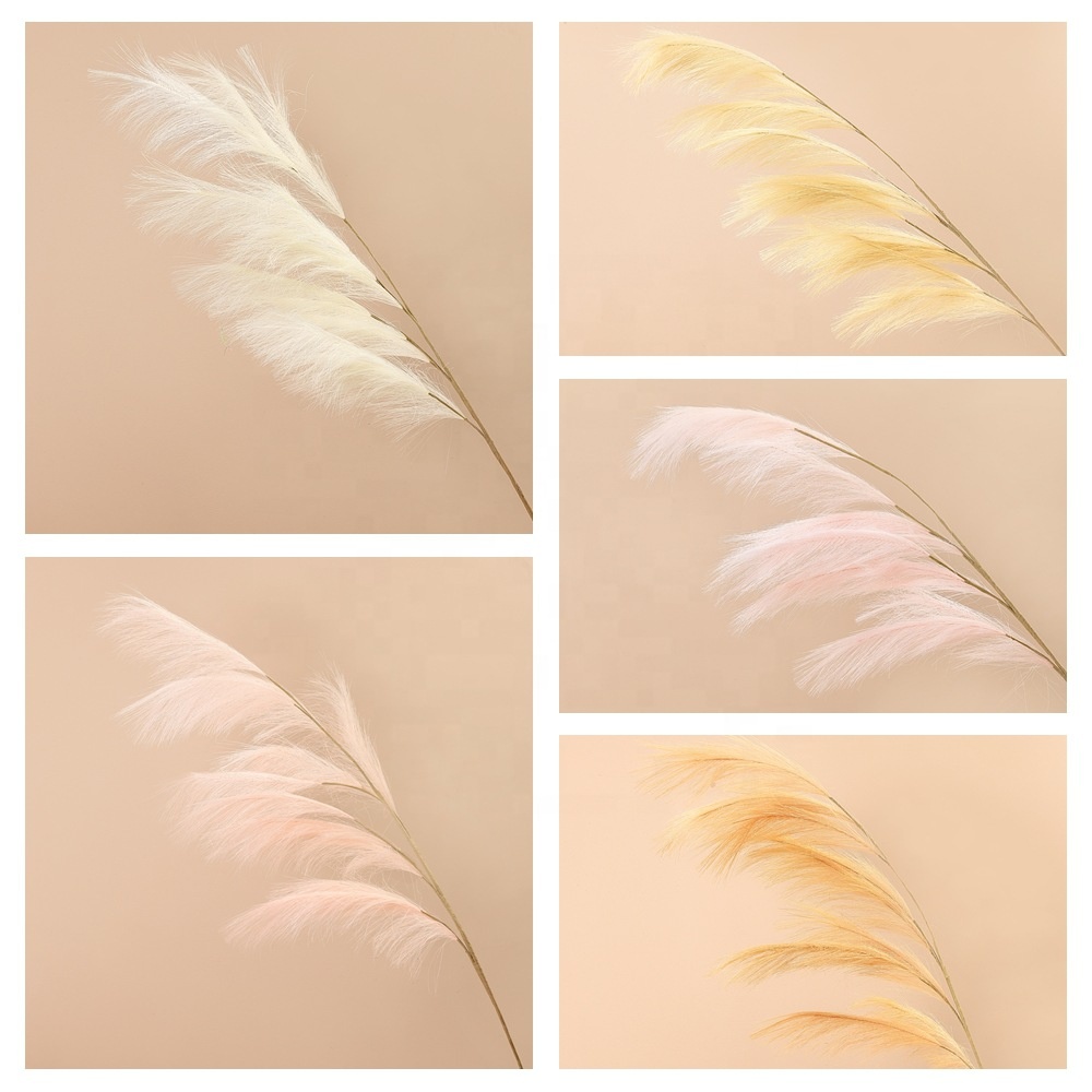 Wholesale pampas grass weddings home decor flower decorative flowers pampas pampa grass