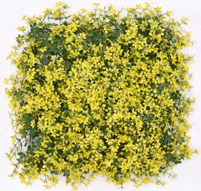 Best Artificial Flowers Boxwood Grass 50*50cm Garden Backyard Fence Greenery Wall Decor Backdrop Panels Topiary Hedge Plant Manufacturer, Factories