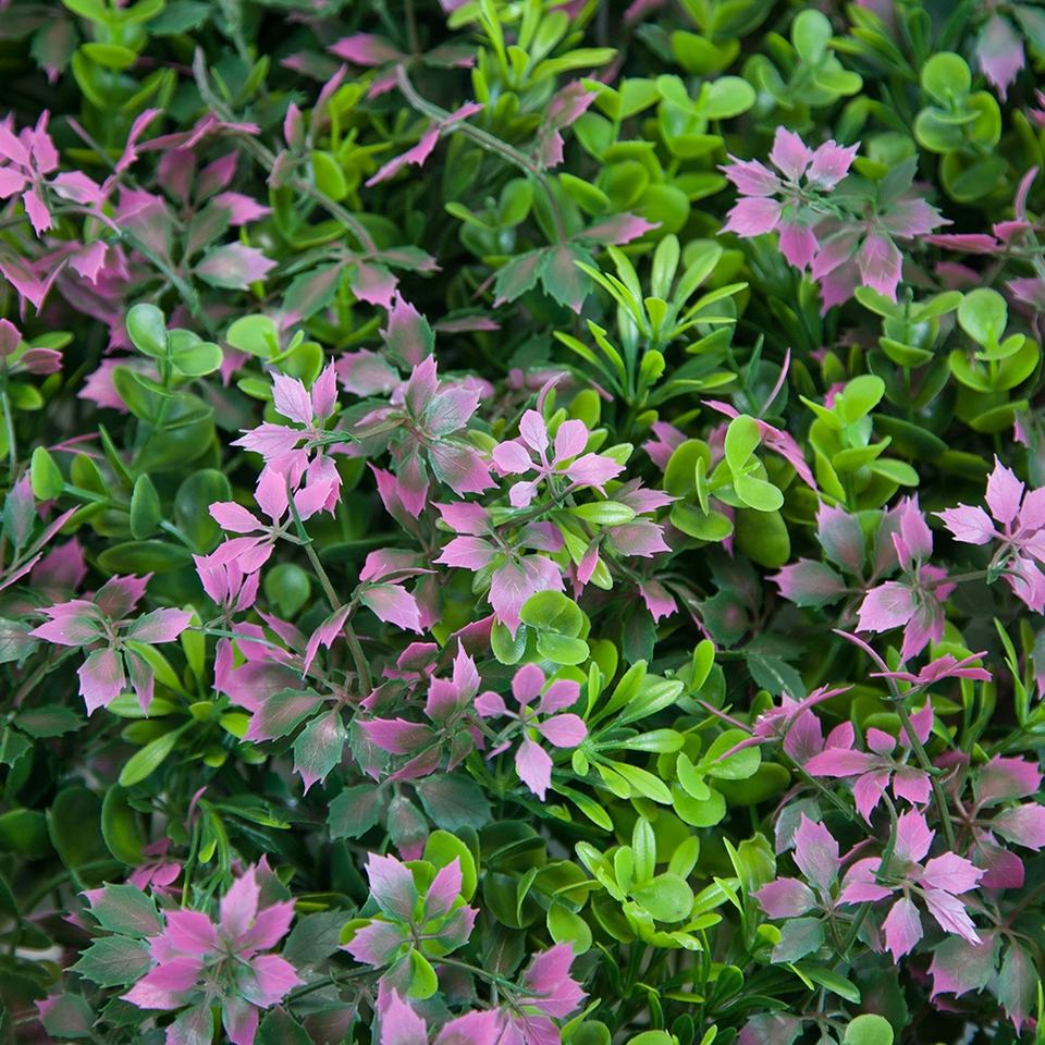 High-Quality Garden Supplies Decor Unti-UV Boxwood Green Hedge Plant Panel Artificial Grass Wall Manufacturer, Factories