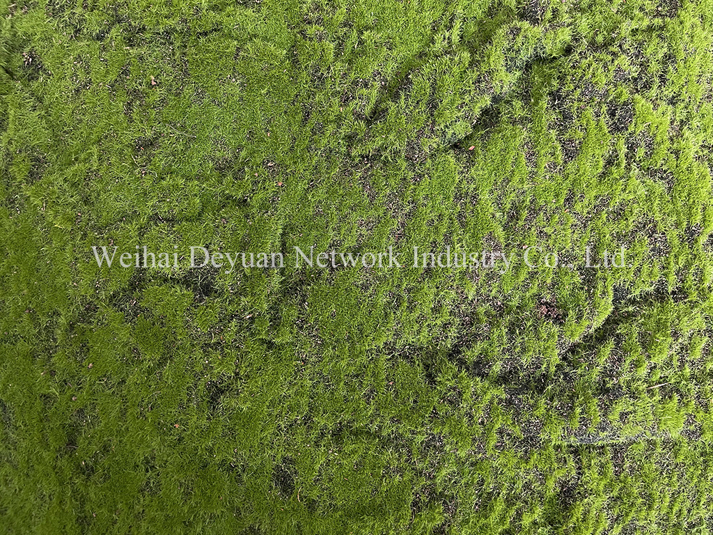 Moss Wall Display 3