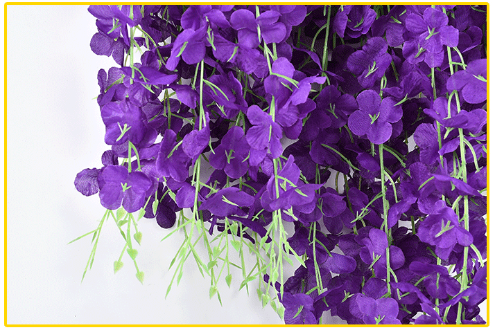 Petals Close-up