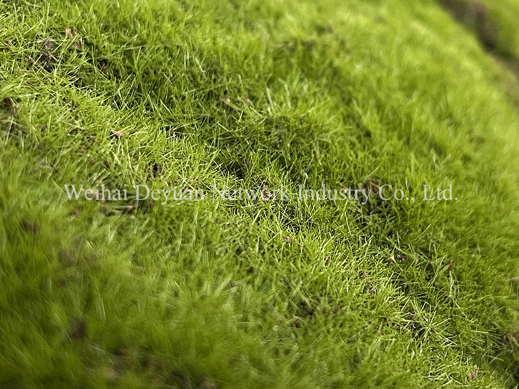 Moss Wall Display 1