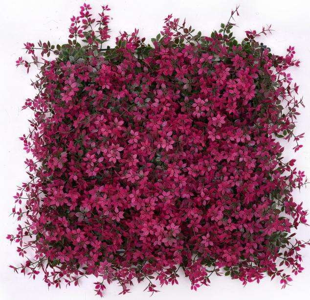 Best Artificial Flowers Boxwood Grass 50*50cm Garden Backyard Fence Greenery Wall Decor Backdrop Panels Topiary Hedge Plant Manufacturer, Factories