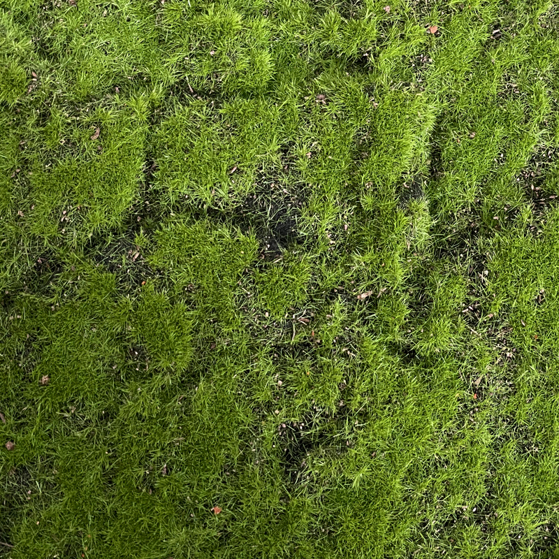 DYGRASS Decorative Artificial Moss Mat Green Moss Rug for Home Garden Wedding Supplier, Factory